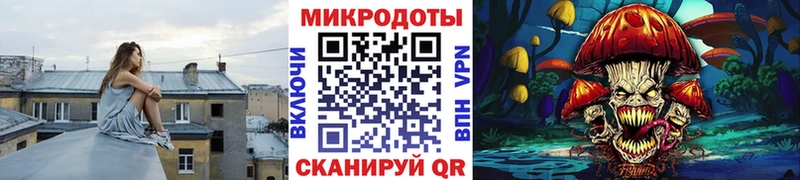 дарнет шоп  Тула  Псилоцибиновые грибы GOLDEN TEACHER 